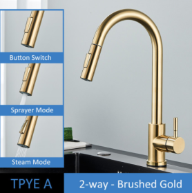 304 Stainless Steel Kitchen Pull-out Faucet (Option: Brushed Gold-TPYE A)