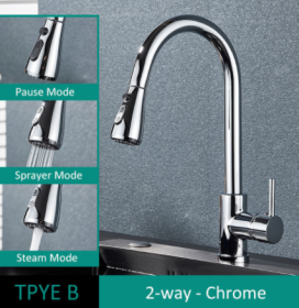 304 Stainless Steel Kitchen Pull-out Faucet (Option: Chrome-TPYE B)