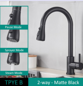 304 Stainless Steel Kitchen Pull-out Faucet (Option: Matte Black-TPYE B)