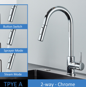 304 Stainless Steel Kitchen Pull-out Faucet (Option: Chrome-TPYE A)